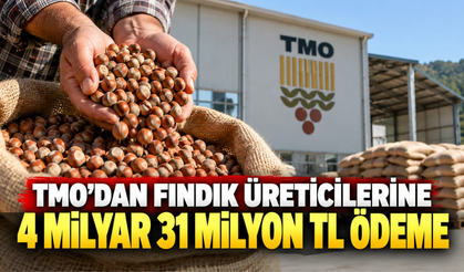 TMO’DAN FINDIK ÜRETİCİLERİNE 4 MİLYAR 31 MİLYON TL ÖDEME