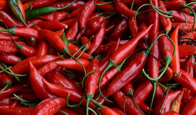 ACI BİBER KOKLAYAN KADIN KOMALIK OLDU!