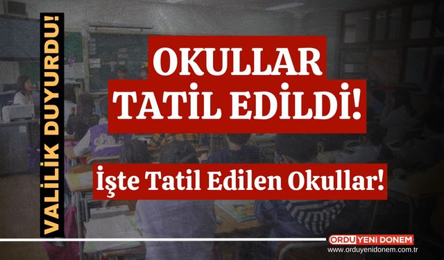20 Kasım'da Okulla Tatil mi? Hangi Okullarda Eğitime Ara Verildi?