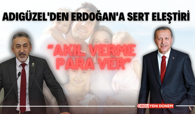 Adıgüzel'den Erdoğan'a Sert Eleştiri:  Akıl Verme, Para Ver