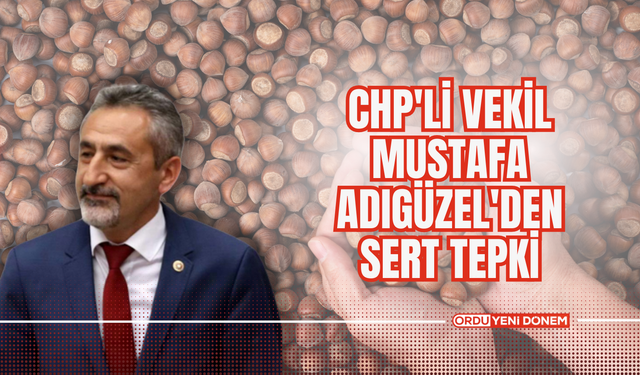 CHP'li Vekil Mustafa Adıgüzel'den Sert Tepki