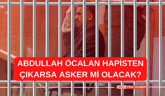 Abdullah Öcalan Hapisten Çıkarsa Asker Mi Olacak?