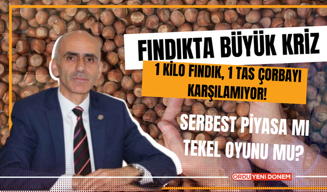 Fındıkta Büyük Kriz!