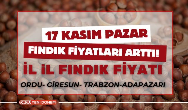 Fındık Fiyatları Arttı! 140 TL Olan Fındık Fiyatı Serbest Piyasada Kaç Lira Oldu? 17 Kasım İl İl Fındık Fiyatları…