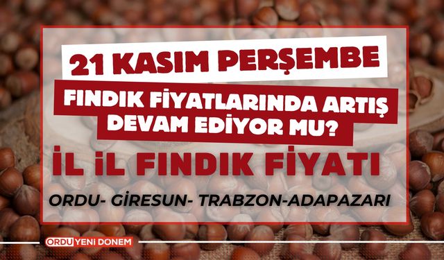 Fındık Fiyatlarında Artış Devam Ediyor Mu? 21 Kasım Güncel Fındık Fiyatları…