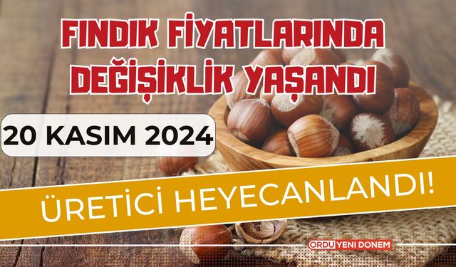 Fındık Fiyatlarında Değişiklik Yaşandı, Üretici Heyecanlandı! 20 Kasım İl İl Fındık Fiyatları…