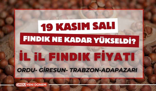 Fındık Üreticisi Umutlu Bekleyişini Sürdürüyor! 19 Kasım Güncel Fındık Fiyatları…