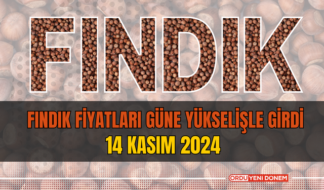 Fındık Fiyatları Güne Yükselişle Girdi