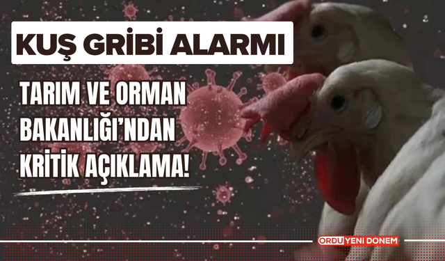 Kuş Gribi Alarmı! Tarım ve Orman Bakanlığı’ndan Kritik Açıklama!