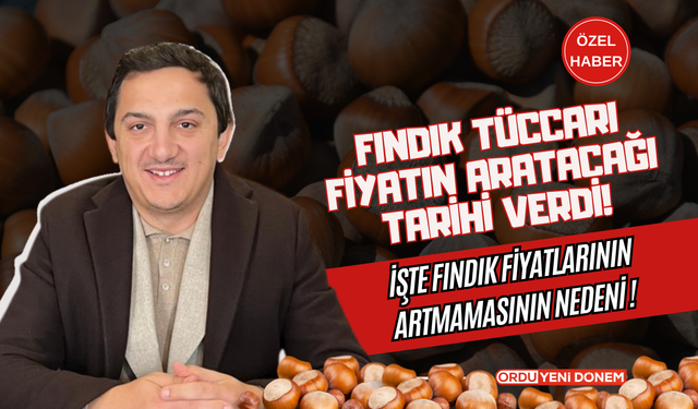 Fındık Tüccarı Fiyatın Artacağı Tarihi Verdi!