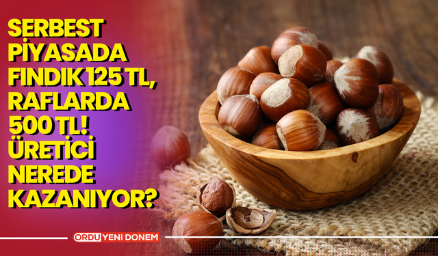 Serbest Piyasada Fındık 125 TL, Raflarda 500 TL! Üretici Nerede Kazanıyor?