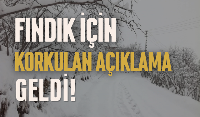 Fındık İçin Korkulan Açıklama Geldi!