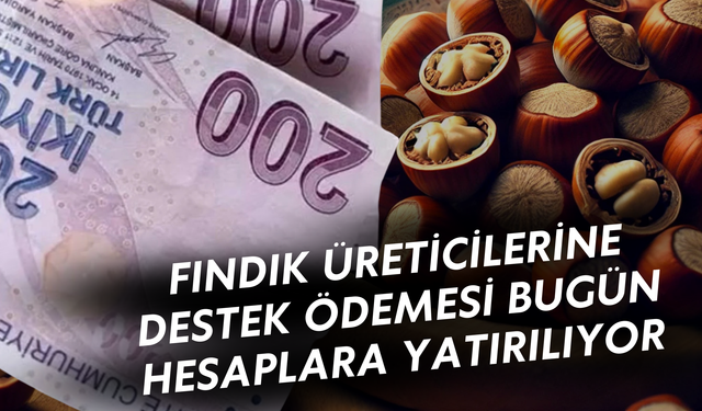Fındık Üreticilerine Destek Ödemesi Bugün Hesaplara Yatırılıyor