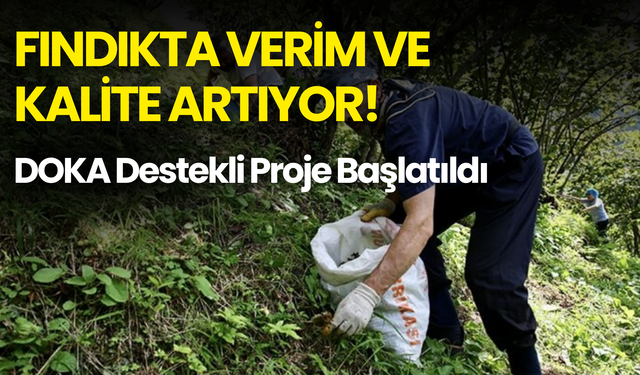 Fındıkta Verim ve Kalite Artıyor: DOKA Destekli Proje Başlatıldı