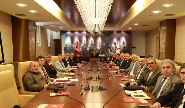 Samsun’da sokakta yaşayan hayvanlar toplanarak bakımevlerine götürülecek