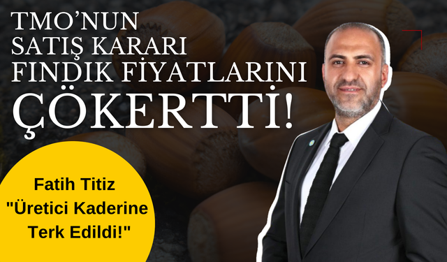 TMO’nun Satış Kararı Fındık Fiyatlarını Çökertti! Fatih Titiz: "Üretici Kaderine Terk Edildi!"