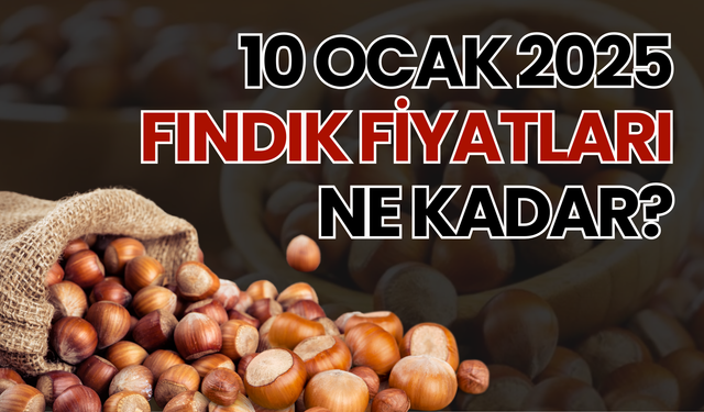 10 Ocak 2025 Fındık Fiyatları Ne Kadar?
