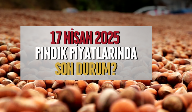 17 Nisan 2025 Fındık Fiyatlarında Son Durum?