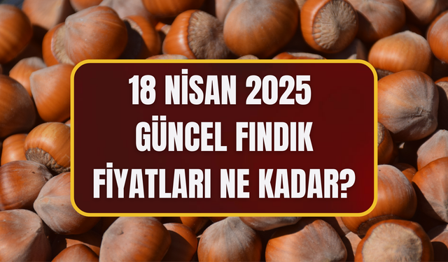 18 Nisan 2025 Güncel Fındık Fiyatları Ne Kadar?