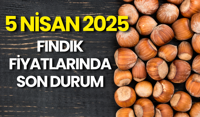 5 Nisan 2025 fındık Fiyatlarında Son Durum