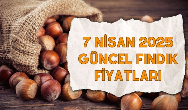 7 Nisan 2025 Güncel Fındık Fiyatları