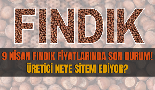 9 Nisan Fındık Fiyatlarında Son Durum! Üretici Neye Sitem Ediyor?