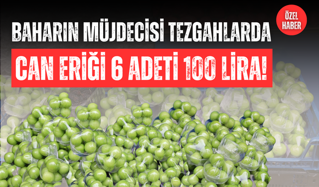 BAHARIN MÜJDECİSİ TEZGAHLARDA: CAN ERİĞİ 6 ADETİ 100 LİRA!