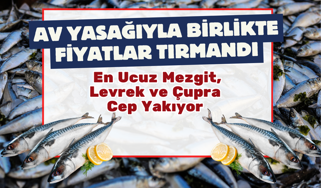 Av Yasağıyla Birlikte Fiyatlar Tırmandı