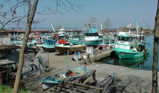 Batı Karadeniz’de balıkçılar sezonu erken kapattı
