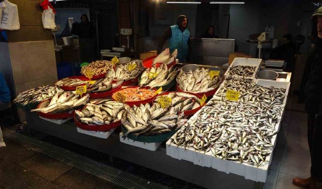 Büyük balıkçı tekneleri için denizlerde av yasağı bu gece başlıyor