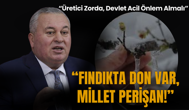 Cemal Enginyurt: “Fındıkta Don Var, Millet Perişan”