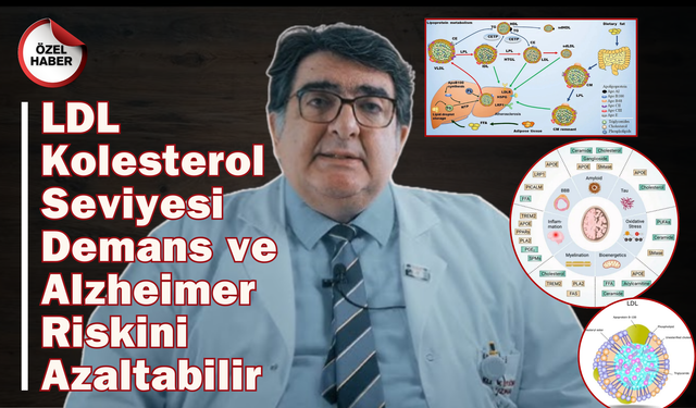 Demans ve Alzheimer Riskini Azaltmak İçin LDL Kolesterolünüzü Düşürün