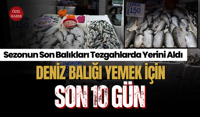 Deniz Balığı Yemek İçin Son 10 Gün
