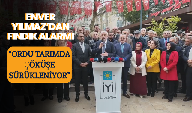 Enver Yılmaz’dan Fındık Alarmı: “Ordu Tarımda Çöküşe Sürükleniyor”