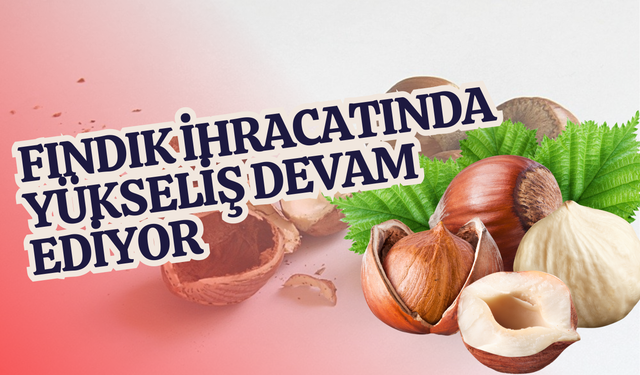 Fındık İhracatında Yükseliş Devam Ediyor: Gelir 1,86 Milyar Doları Aştı