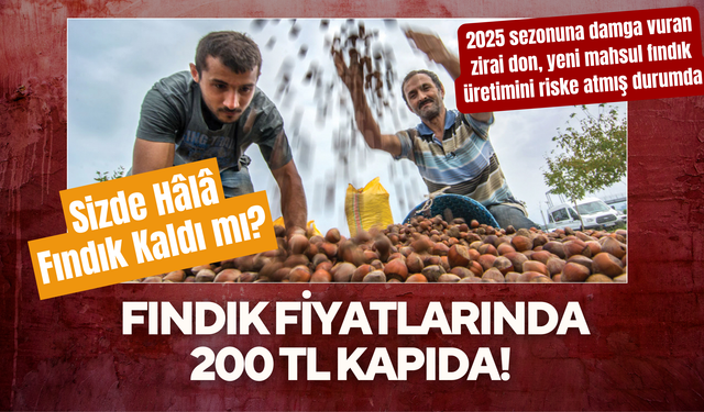 Fındık Fiyatlarında 200 TL Kapıda!