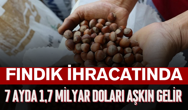Fındık ihracatında 7 ayda 1,7 milyar doları aşkın gelir