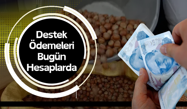 Fındık Üreticilerine Müjde: Destek Ödemeleri Bugün Hesaplarda