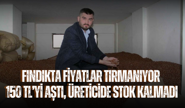 Fındıkta Fiyatlar Tırmanıyor: 150 TL’yi Aştı, Üreticide Stok Kalmadı