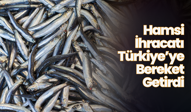 Hamsi İhracatı Türkiye’ye Bereket Getirdi: 9 Milyon Doların Üzerinde Gelir Sağlandı