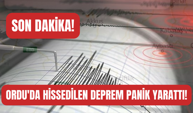 SON DAKİKA! Ordu'da Deprem Mi Oldu?