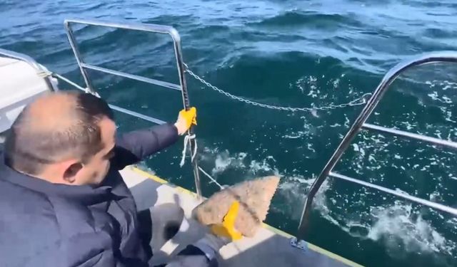 Ordu’da denizde serili kalkan ağına el konuldu