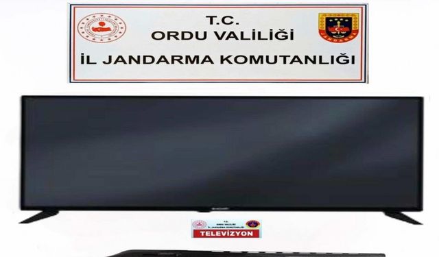 Ordu’da evden hırsızlık yapan 2 şüpheli yakalandı