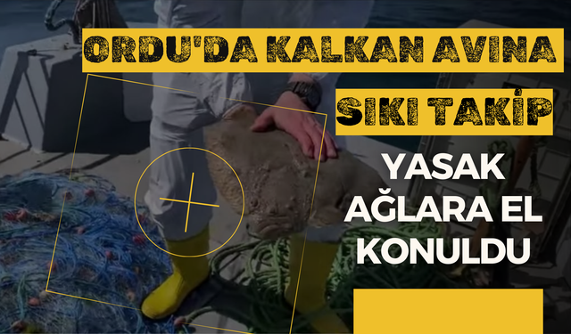 Ordu'da Kalkan Avına Sıkı Takip: Yasak Ağlara El Konuldu