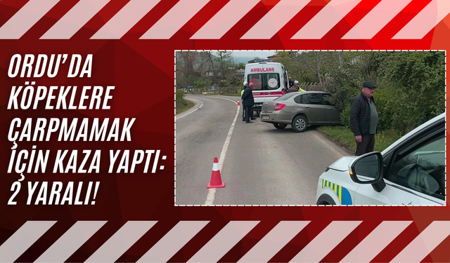 Ordu’da Köpeklere Çarpmamak İçin Kaza Yaptı: 2 Yaralı