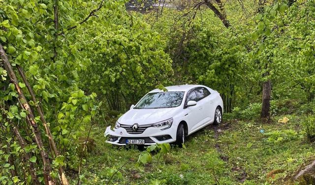 Ordu’da otomobil fındık bahçesine uçtu