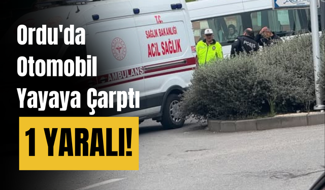 Ordu'da Otomobil Yayaya Çarptı: 1 Yaralı