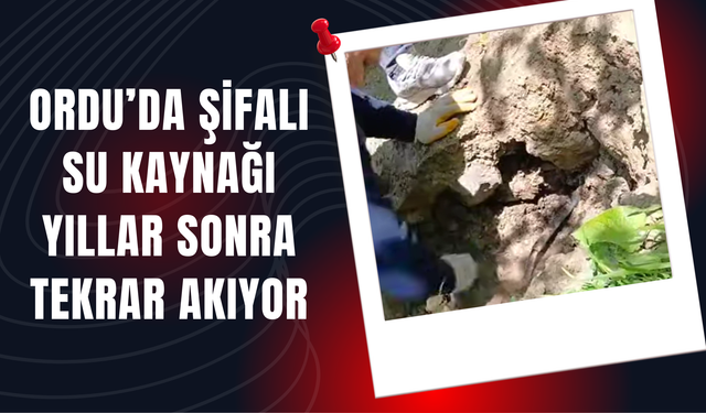 Ordu’da Şifalı Su Kaynağı Yıllar Sonra Tekrar Akıyor