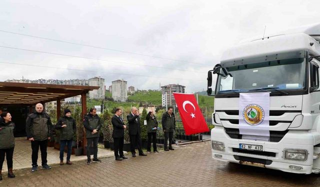 Ordu’dan Azerbaycan’a 3 tır orman fidanı gönderildi