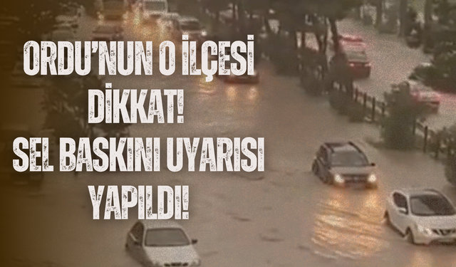 Ordu’nun O İlçesi Dikkat! Sel Baskını Uyarısı Yapıldı!